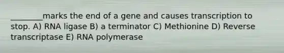 ________marks the end of a gene and causes transcription to stop. A) RNA ligase B) a terminator C) Methionine D) Reverse transcriptase E) RNA polymerase