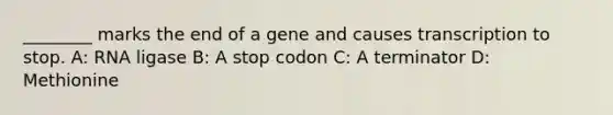 ________ marks the end of a gene and causes transcription to stop. A: RNA ligase B: A stop codon C: A terminator D: Methionine