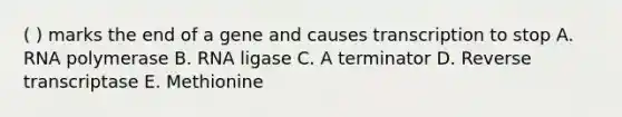 ( ) marks the end of a gene and causes transcription to stop A. RNA polymerase B. RNA ligase C. A terminator D. Reverse transcriptase E. Methionine