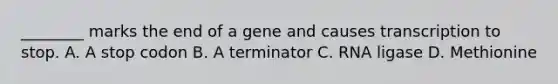 ________ marks the end of a gene and causes transcription to stop. A. A stop codon B. A terminator C. RNA ligase D. Methionine