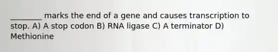 ________ marks the end of a gene and causes transcription to stop. A) A stop codon B) RNA ligase C) A terminator D) Methionine