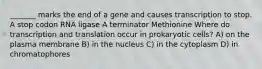 _______ marks the end of a gene and causes transcription to stop. A stop codon RNA ligase A terminator Methionine Where do transcription and translation occur in prokaryotic cells? A) on the plasma membrane B) in the nucleus C) in the cytoplasm D) in chromatophores