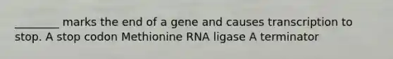 ________ marks the end of a gene and causes transcription to stop. A stop codon Methionine RNA ligase A terminator