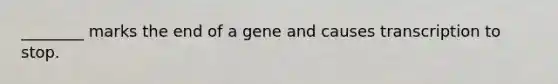 ________ marks the end of a gene and causes transcription to stop.