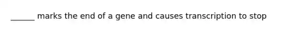 ______ marks the end of a gene and causes transcription to stop