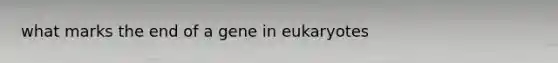 what marks the end of a gene in eukaryotes