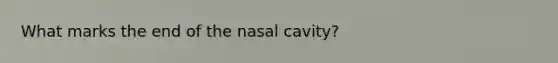 What marks the end of the nasal cavity?