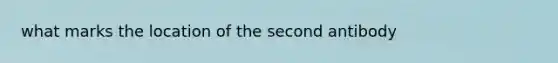 what marks the location of the second antibody