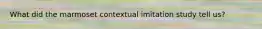 What did the marmoset contextual imitation study tell us?