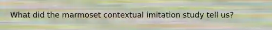 What did the marmoset contextual imitation study tell us?