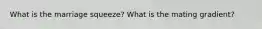 What is the marriage squeeze? What is the mating gradient?