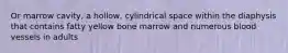 Or marrow cavity, a hollow, cylindrical space within the diaphysis that contains fatty yellow bone marrow and numerous blood vessels in adults