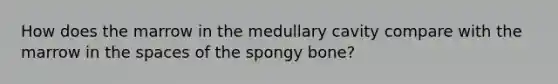 How does the marrow in the medullary cavity compare with the marrow in the spaces of the spongy bone?