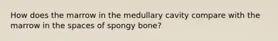 How does the marrow in the medullary cavity compare with the marrow in <a href='https://www.questionai.com/knowledge/k0Lyloclid-the-space' class='anchor-knowledge'>the space</a>s of spongy bone?