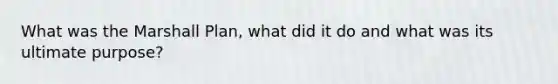 What was the <a href='https://www.questionai.com/knowledge/kaprMLvQxF-marshall-plan' class='anchor-knowledge'>marshall plan</a>, what did it do and what was its ultimate purpose?