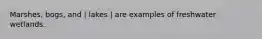 Marshes, bogs, and | lakes | are examples of freshwater wetlands.