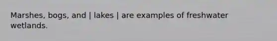 Marshes, bogs, and | lakes | are examples of freshwater wetlands.