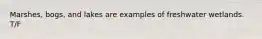 Marshes, bogs, and lakes are examples of freshwater wetlands. T/F