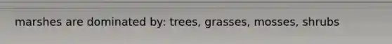 marshes are dominated by: trees, grasses, mosses, shrubs