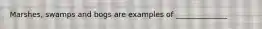 Marshes, swamps and bogs are examples of ______________