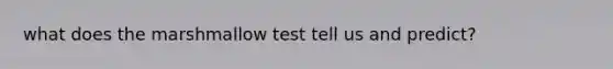 what does the marshmallow test tell us and predict?