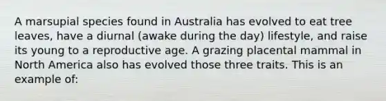 A marsupial species found in Australia has evolved to eat tree leaves, have a diurnal (awake during the day) lifestyle, and raise its young to a reproductive age. A grazing placental mammal in North America also has evolved those three traits. This is an example of: