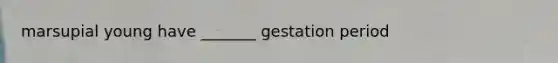 marsupial young have _______ gestation period