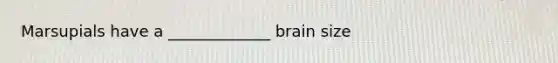 Marsupials have a _____________ brain size