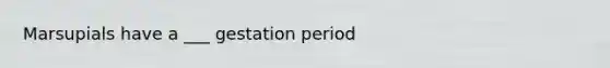 Marsupials have a ___ gestation period