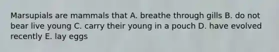 Marsupials are mammals that A. breathe through gills B. do not bear live young C. carry their young in a pouch D. have evolved recently E. lay eggs