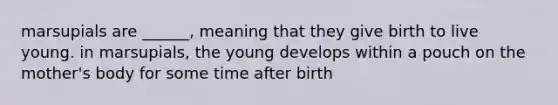 marsupials are ______, meaning that they give birth to live young. in marsupials, the young develops within a pouch on the mother's body for some time after birth