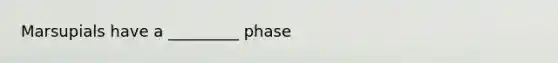 Marsupials have a _________ phase