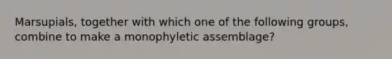 Marsupials, together with which one of the following groups, combine to make a monophyletic assemblage?