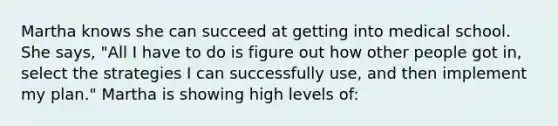 Martha knows she can succeed at getting into medical school. She says, "All I have to do is figure out how other people got in, select the strategies I can successfully use, and then implement my plan." Martha is showing high levels of: