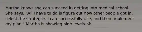 Martha knows she can succeed in getting into medical school. She says, "All I have to do is figure out how other people got in, select the strategies I can successfully use, and then implement my plan." Martha is showing high levels of: