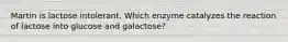 Martin is lactose intolerant. Which enzyme catalyzes the reaction of lactose into glucose and galactose?