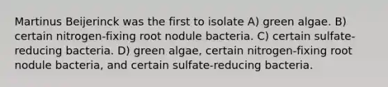 Martinus Beijerinck was the first to isolate A) green algae. B) certain nitrogen-fixing root nodule bacteria. C) certain sulfate-reducing bacteria. D) green algae, certain nitrogen-fixing root nodule bacteria, and certain sulfate-reducing bacteria.