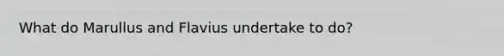 What do Marullus and Flavius undertake to do?