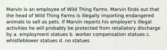 Marvin is an employee of Wild Thing Farms. Marvin finds out that the head of Wild Thing Farms is illegally importing endangered animals to sell as pets. If Marvin reports his employer's illegal activities he will probably be protected from retaliatory discharge by a. employment statues b. worker compensation statues c. whistleblower statues d. no statues