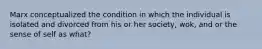 Marx conceptualized the condition in which the individual is isolated and divorced from his or her society, wok, and or the sense of self as what?