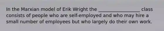 In the Marxian model of Erik Wright the __________________ class consists of people who are self-employed and who may hire a small number of employees but who largely do their own work.