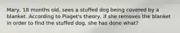 Mary, 18 months old, sees a stuffed dog being covered by a blanket. According to Piaget's theory, if she removes the blanket in order to find the stuffed dog, she has done what?