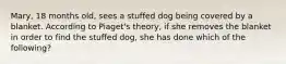 Mary, 18 months old, sees a stuffed dog being covered by a blanket. According to Piaget's theory, if she removes the blanket in order to find the stuffed dog, she has done which of the following?