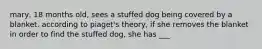 mary, 18 months old, sees a stuffed dog being covered by a blanket. according to piaget's theory, if she removes the blanket in order to find the stuffed dog, she has ___