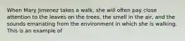 When Mary Jimenez takes a walk, she will often pay close attention to the leaves on the trees, the smell in the air, and the sounds emanating from the environment in which she is walking. This is an example of