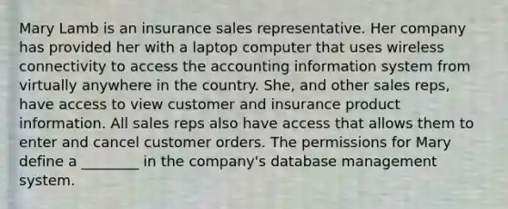 Mary Lamb is an insurance sales representative. Her company has provided her with a laptop computer that uses wireless connectivity to access the accounting information system from virtually anywhere in the country. She, and other sales reps, have access to view customer and insurance product information. All sales reps also have access that allows them to enter and cancel customer orders. The permissions for Mary define a ________ in the company's database management system.