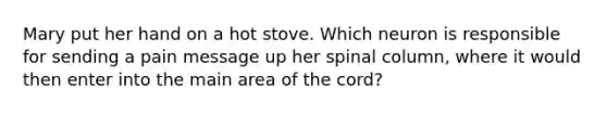 Mary put her hand on a hot stove. Which neuron is responsible for sending a pain message up her spinal column, where it would then enter into the main area of the cord?