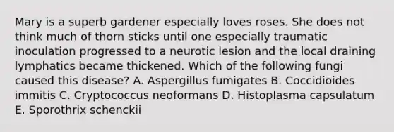 Mary is a superb gardener especially loves roses. She does not think much of thorn sticks until one especially traumatic inoculation progressed to a neurotic lesion and the local draining lymphatics became thickened. Which of the following fungi caused this disease? A. Aspergillus fumigates B. Coccidioides immitis C. Cryptococcus neoformans D. Histoplasma capsulatum E. Sporothrix schenckii