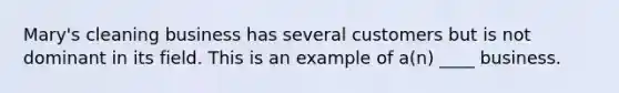 Mary's cleaning business has several customers but is not dominant in its field. This is an example of a(n) ____ business.