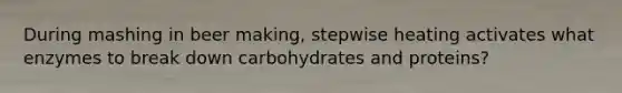 During mashing in beer making, stepwise heating activates what enzymes to break down carbohydrates and proteins?